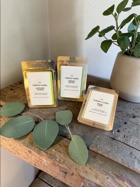 Citrus Cleanse Trio – Soy Wax Melt Bundle | Lemon, Lime Basil, & Eucalyptus